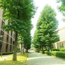 私はグランドスタッフになりたい大学一年生です。
私が通っている学校で最近は航空会社に就職された方がいません。そのような学校でもグランドスタッフになれますでしょうか？

とても不安なので実績のある外国語系の大学に三年次編入も考えています。
また、この大学一年生の時期にTOEICはどれくらいあったらいいのでしょうか。私はTOEICの勉強をこの夏休みから真剣に始めようと思ってます。なのでどのくらいを目標にして勉強するといいのかが分かりません。
PN.けーちゃん（大・短・専門）